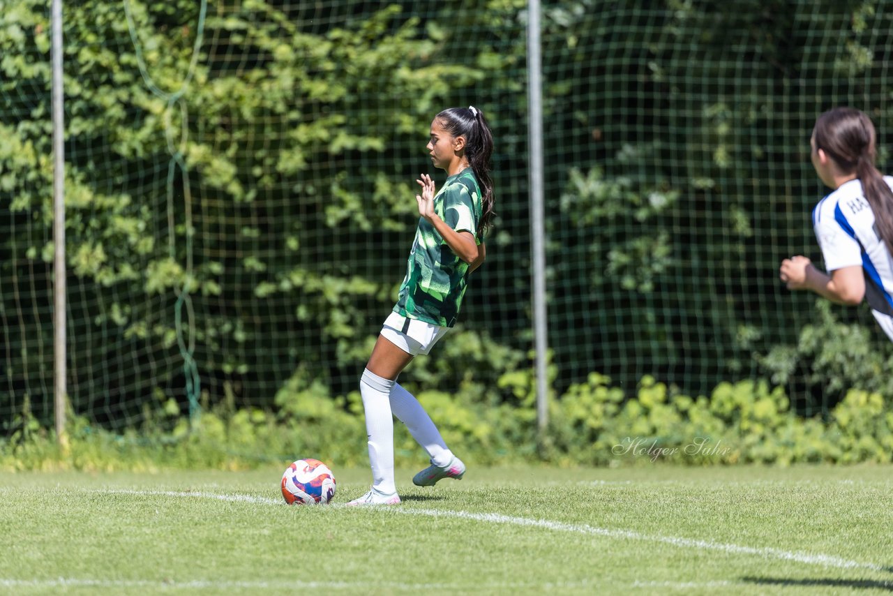 Bild 173 - wBJ Hamburger SV - VfL Wolfsburg : Ergebnis: 5:1